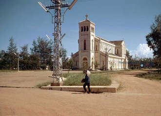 new-lavang